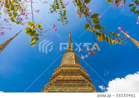 バンコク、ワット・ポー、花の咲く涅槃仏寺　 33535401