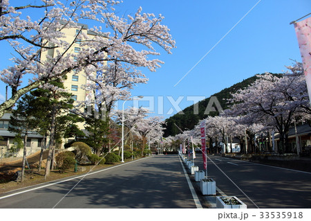 春の花巻温泉 33535918