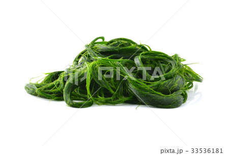 Fresh - water algae ready is used to make food. 33536181