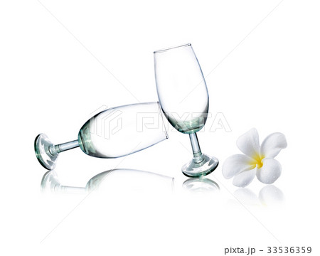 colorful plumeria flower and glass colorful plumeria flower and glass 33536359