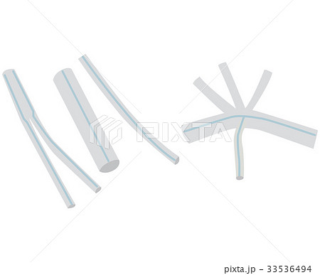 人工血管 医療関連のイラスト素材