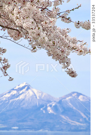 春の磐梯山と猪苗代湖（郡山市・湖南町） 33537204