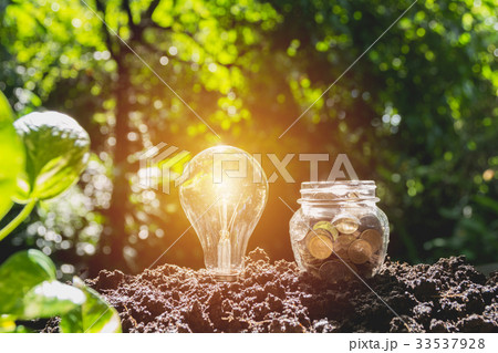 Energy saving light bulb and tree growing Energy saving light bulb and tree growing 33537928