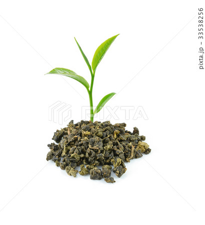 Green tea leaf isolated on white background. Green tea leaf isolated on white background. 33538256