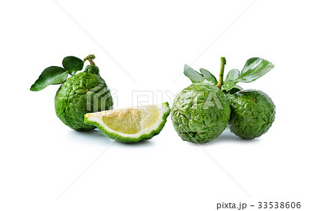 Bergamot[Kaffir lime] isolate on whit background 33538606