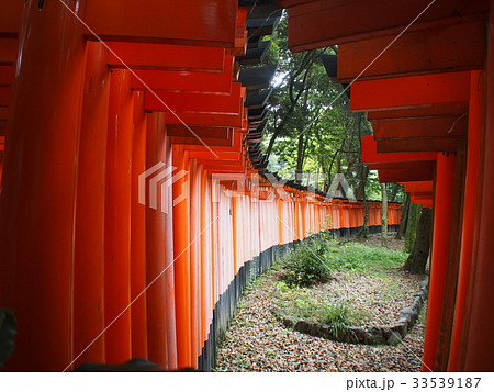 伏見稲荷 千本鳥居 伏見稲荷 千本鳥居 33539187