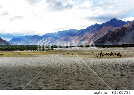 Hunder Sand Dunes of Nubra Valley. Hunder Sand Dunes of Nubra Valley. 33539755