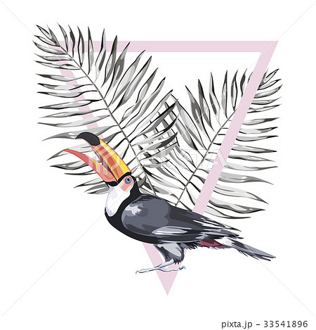 Toucan with tropical leaf and coconut. Element for Toucan with tropical leaf and coconut. Element for 33541896