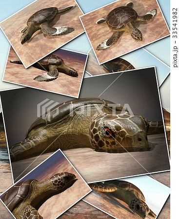 Sea turtle laying eggs on the beach - collage 3d Sea turtle laying eggs on the beach - collage 3d 33541982