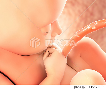 Human Fetus Medical and Scientific Background. Human Fetus Medical and Scientific Background. 33542008