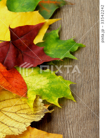 Frame of Autumn Leafs Frame of Autumn Leafs 33542242