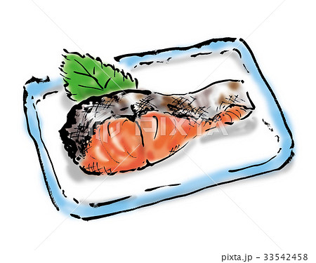 焼き鮭 焼き鮭 33542458
