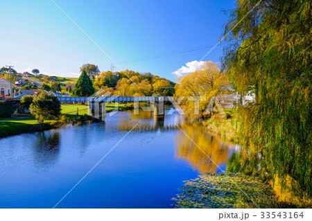 河川 川の流れ 木 33543164