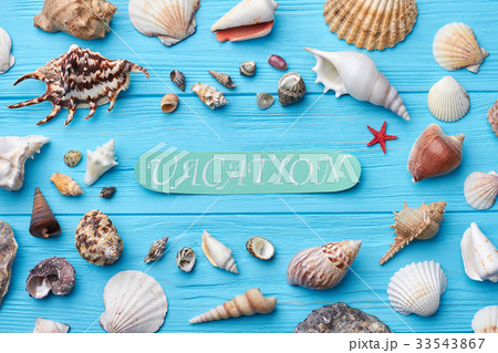 Different sea shells, painted background. Different sea shells, painted background. 33543867