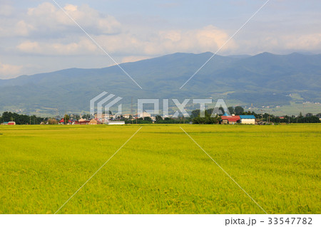 田園風景 33547782