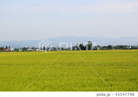 田園風景 田園風景 33547796