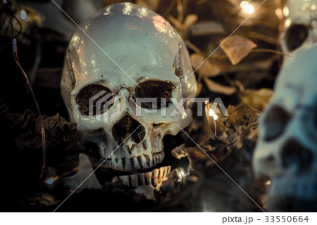 Skull and scary scene for Halloween 33550664
