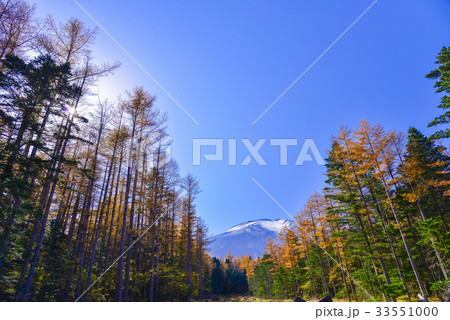 【山梨県】滝沢林道から見上げる富士山頂 33551000