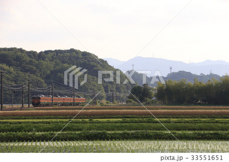 初夏の信越本線115系（群馬県：高崎⇔横川） 33551651