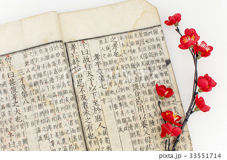 古書と梅花 古書と梅花 33551714