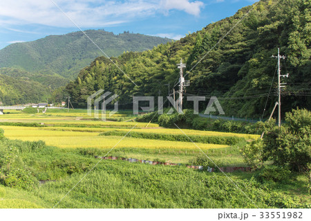 農村風景　8月　 33551982