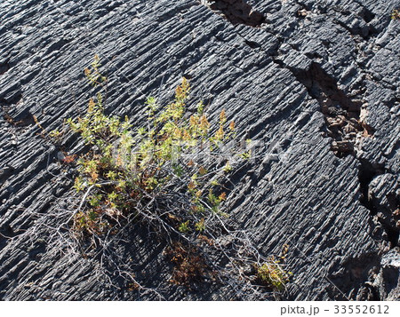 クレーターズ・オブ・ザ・ムーン 33552612