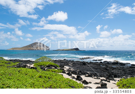 ハワイ　オアフ島　マカプウビーチパーク　溶岩岩礁 33554803