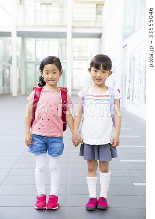 小学生の女の子 33555046