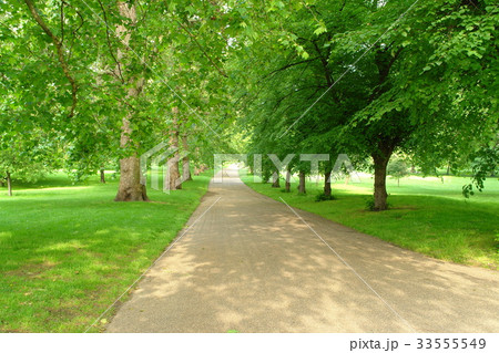 公園 グリーンパーク ロンドン 33555549