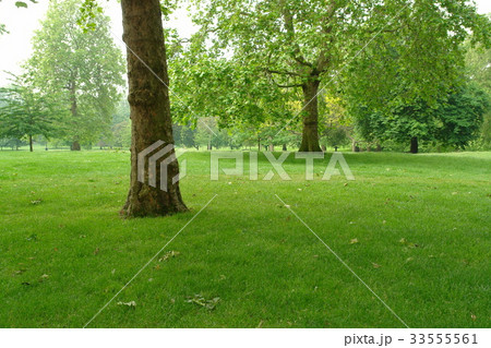 公園 グリーンパーク ロンドン 33555561