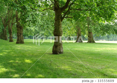 グリーンパーク ロンドン 英国 33555609