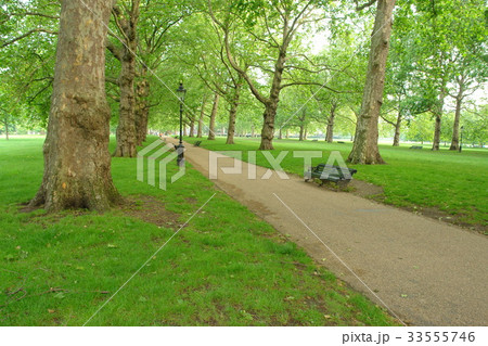 公園 グリーンパーク ロンドン 33555746