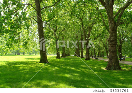 ロンドン 英国 風景 33555761