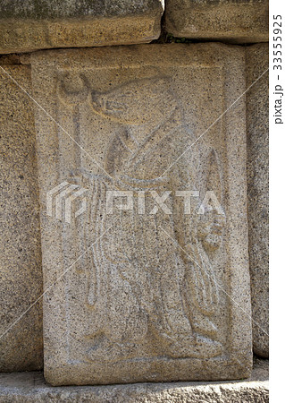 豚 干支 静物 33555925