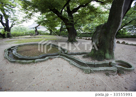 慶北 木 ポソクジョン 33555991