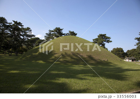 慶北 陵 墓 33556003