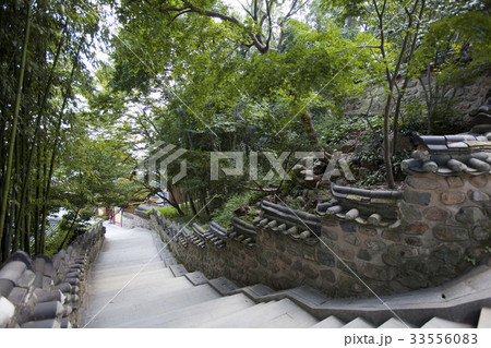 竹 梵魚寺 釜山 33556083