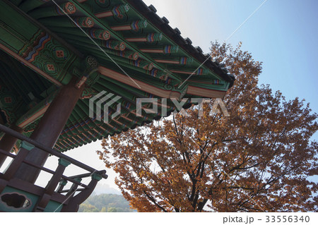 秋 南山コル韓屋村 ソウル 33556340