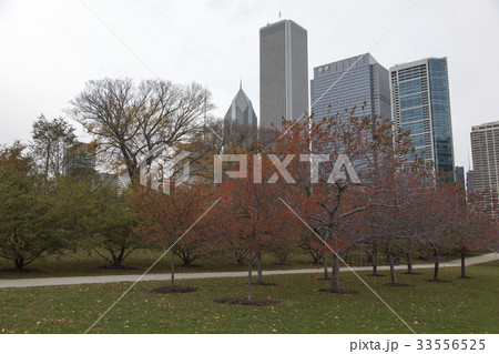 高層ビル 紅葉 米国 33556525
