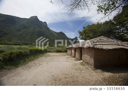慶北 山 鬱陵郡 33556630