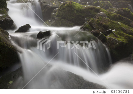 江原道 谷 水流 33556781