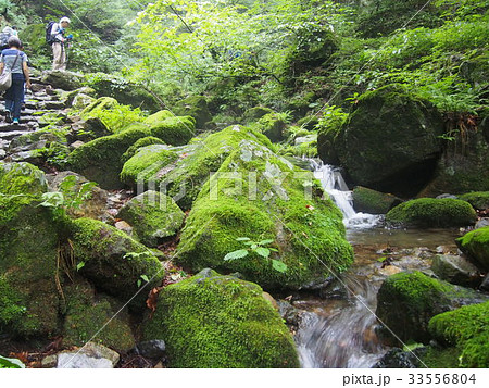 御岳山 ロックガーデン 御岳山 ロックガーデン 33556804