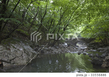 谷 仙岩寺 仙岩寺スンソンギョ 33556886