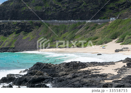 ハワイ　オアフ島　マカプウビーチパーク 33558755