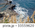 崖際の風景 33559620