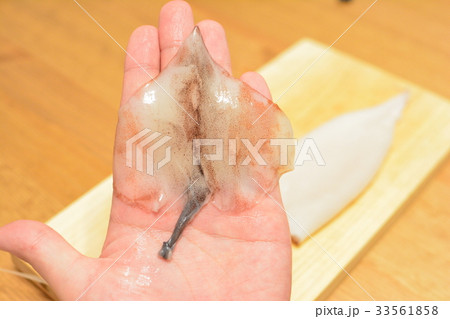 まな板の上でイカを捌く 33561858