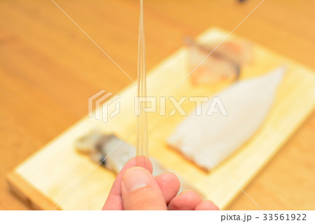 まな板の上でイカを捌く 33561922