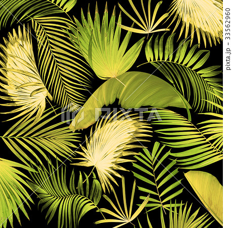 mix palm leaf tree background mix palm leaf tree background 33562960
