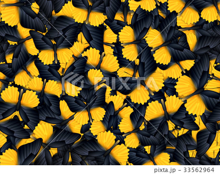 Seamless pattern with lot of different butterflys 33562964