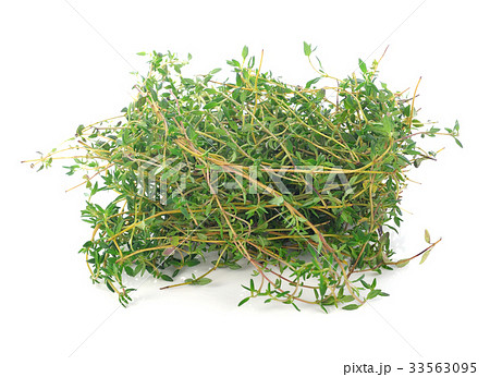 Thyme herb isolated on white background Thyme herb isolated on white background 33563095